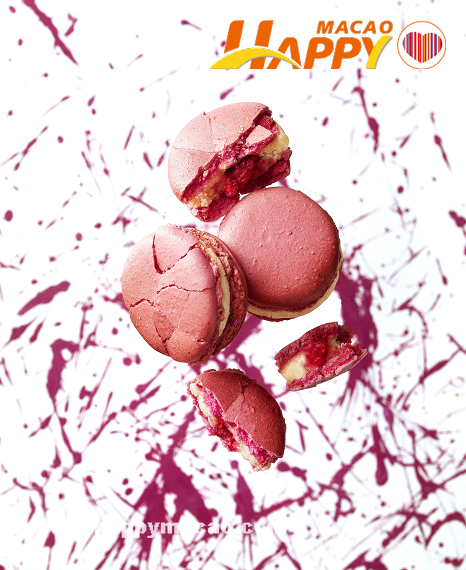 Photo_22015830Macaron_Ispahan_