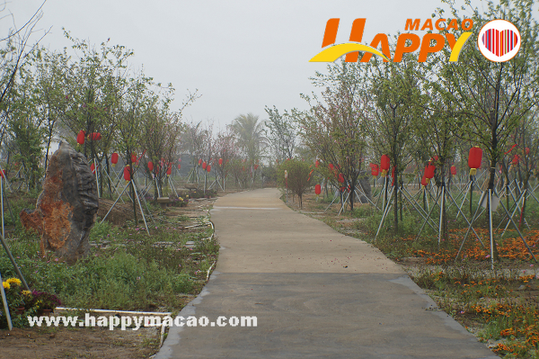 DSC04096
