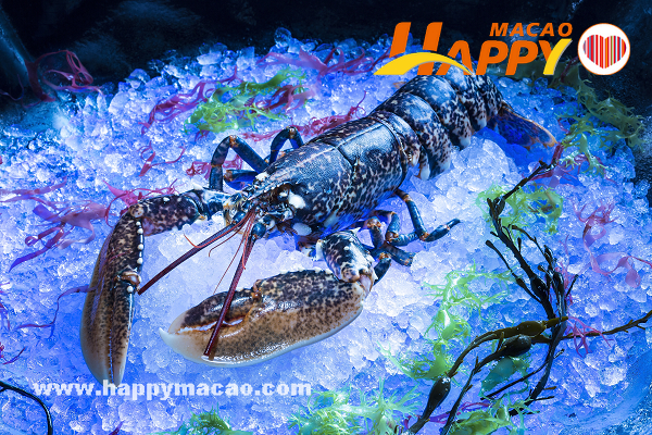 Banyan_tree_Macau__Blue_Lobster_Belon