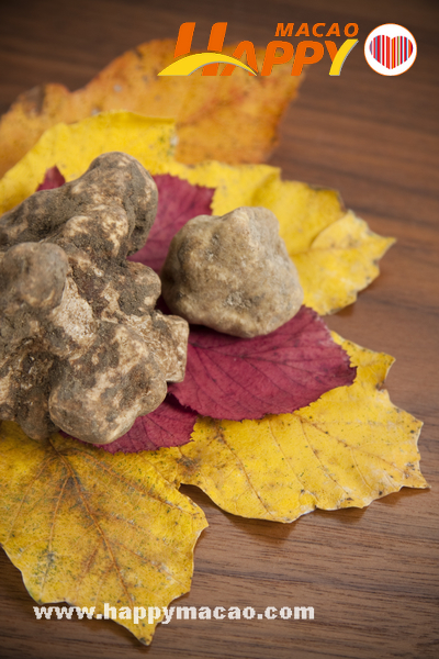 White_Truffle