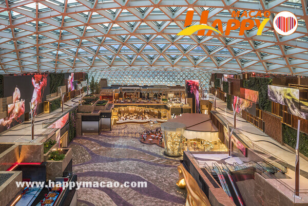 MGM_COTAI_Spectacle_venue_night_view_1_1_1