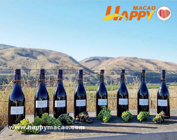 10_Hands_Dinner_with_Craggy_Range_Wines