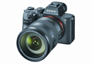 Sony A7 Ⅲ一口氣拍177高質相 