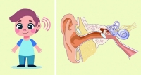 兒童耳朵積水怎麼辦？