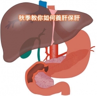 秋季教你如何養肝保肝