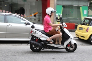 電單車危險駕駛動作勿亂試