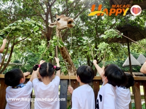 暑假720度玩轉野生動物世界