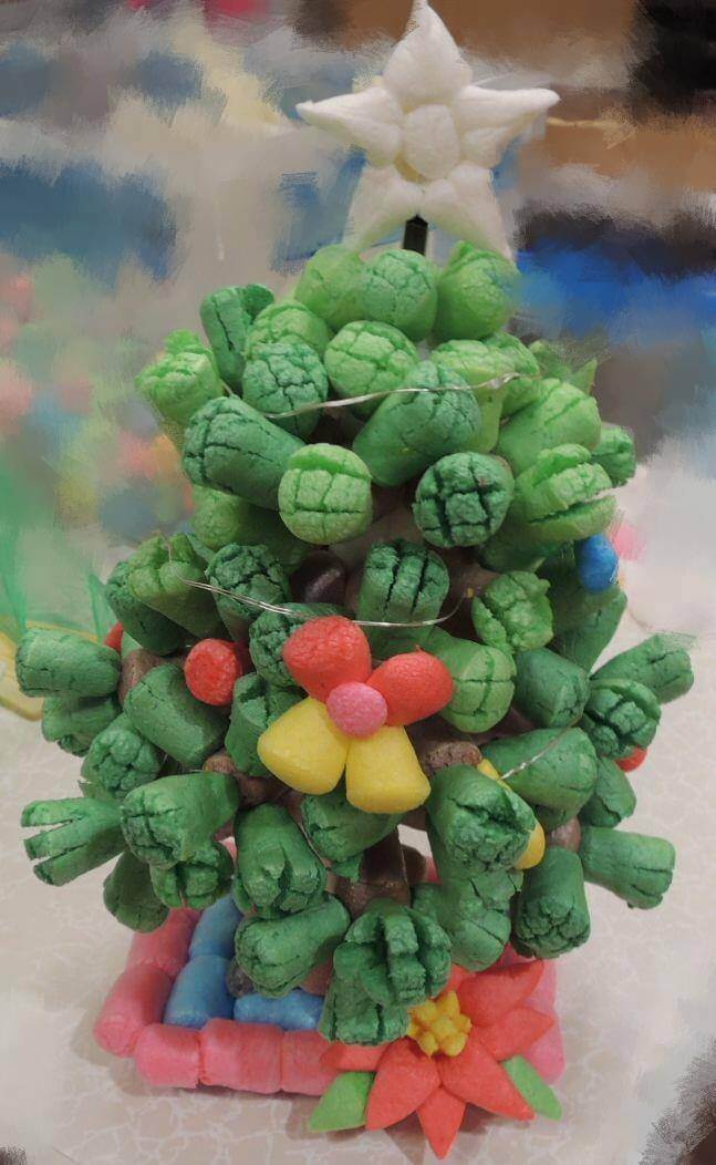 122908870_5310163602357587_8804782332077021505_o_1