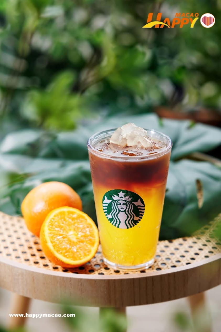 513888707_4200485663568628_6072696431006006268_n