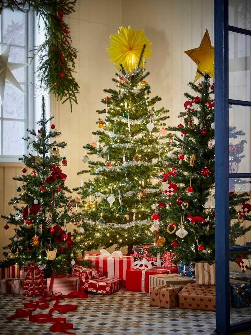 592991505_33413347794945791_932612261119958136_n