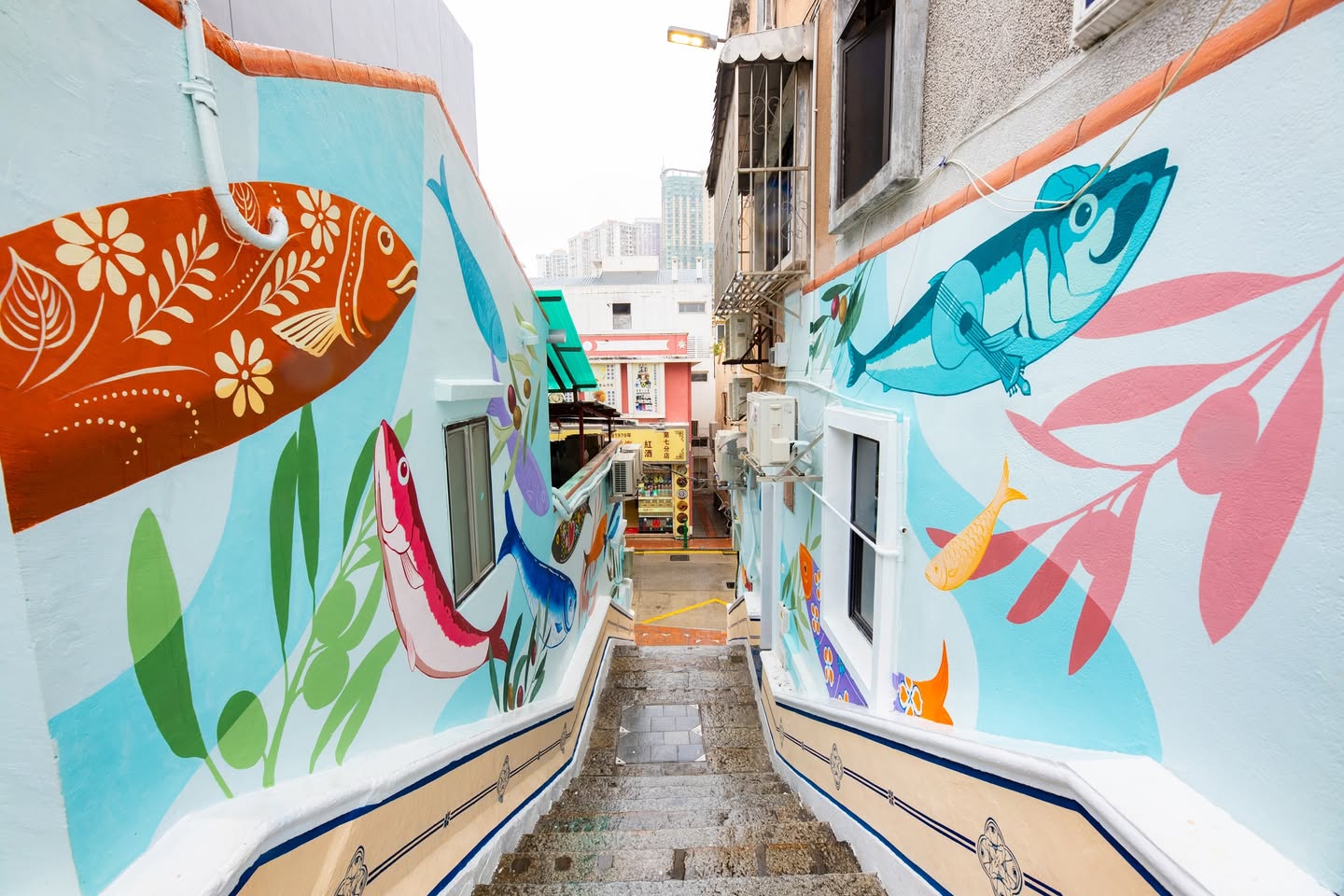 597680821_33566912706255965_5289226501161892452_n