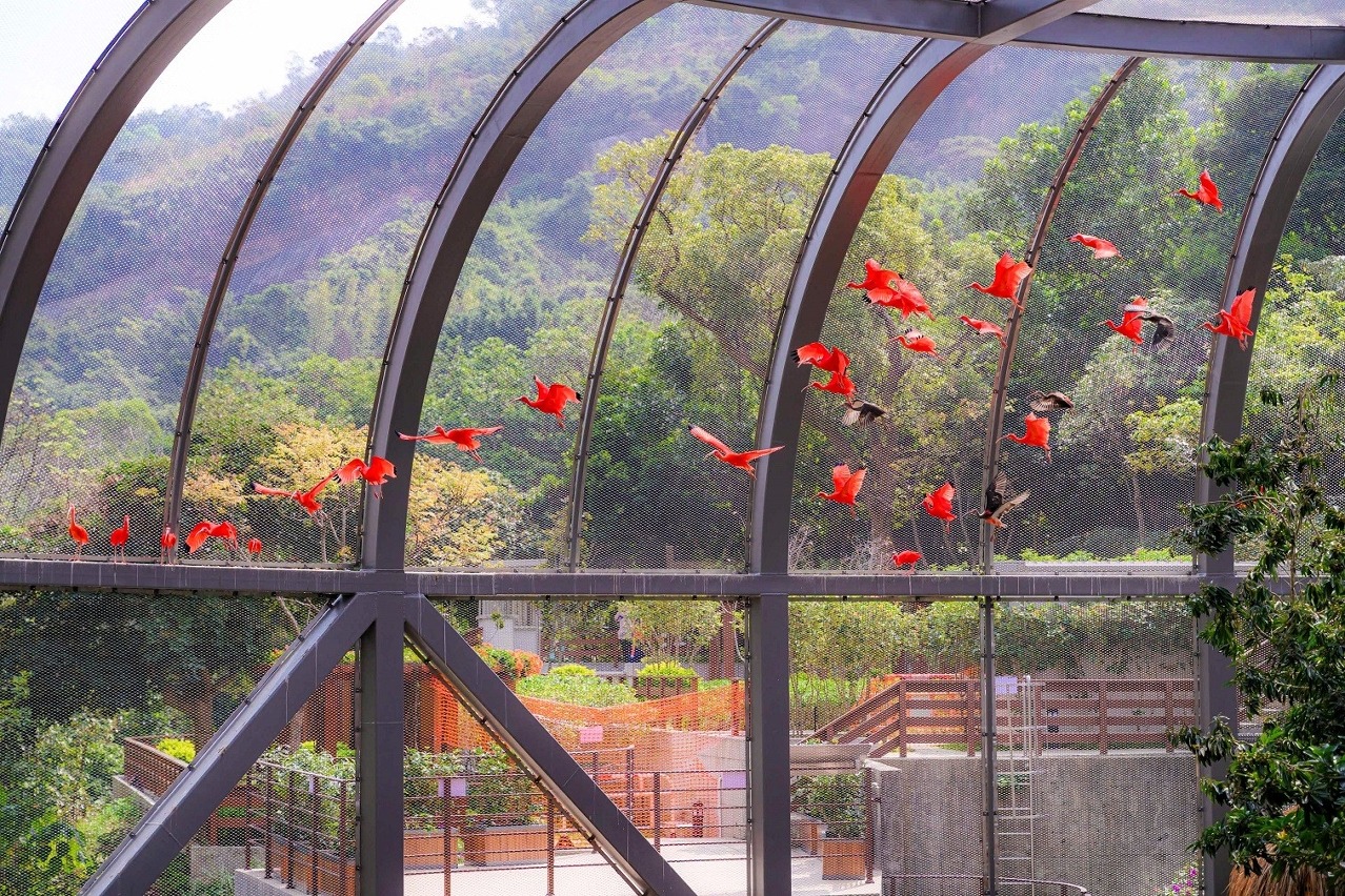 646916842_1524555303005149_1022691989188824881_n