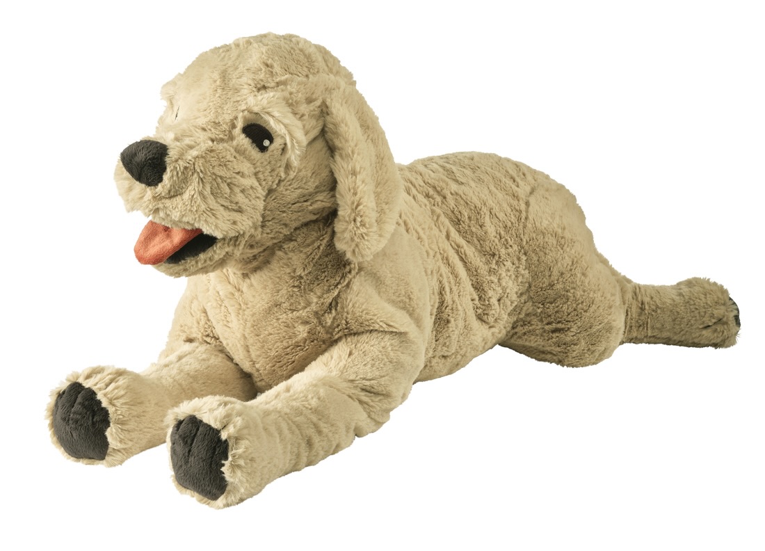 655637024_35203334989280387_3078226413817249989_n