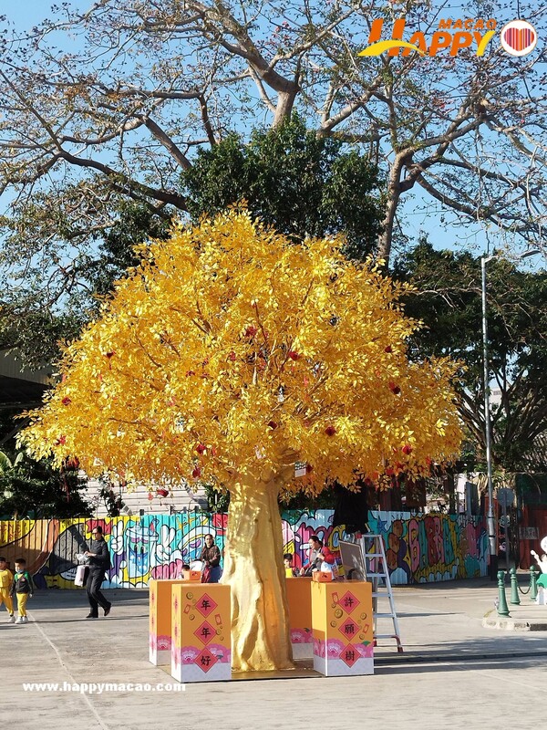 633516665_34591859880427904_5051496386427755324_n_1