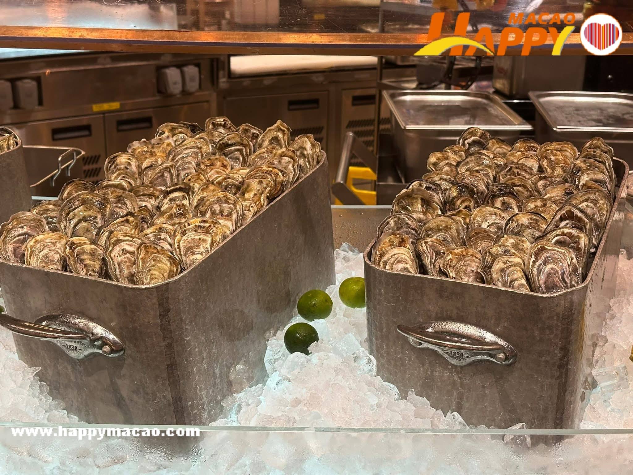 668889360_4491682631115595_1572082590189228914_n